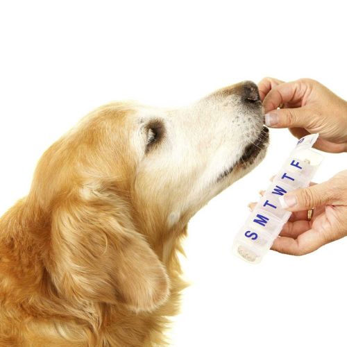 Dog being fed by a person from pill dispenser